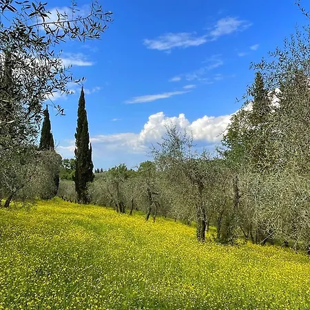 La Capanna By Salogi